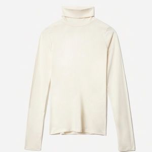Brand New Everlane Turtleneck